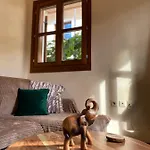 Delfi's Cozy Maisonette Apartment Delphi